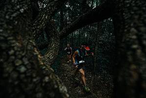 BIB: 
                            <button type="button" onclick="openModal(25688215)" class="btn btn-primary btn-sm float-right btn-popup" data-toggle="modal" data-target=".modal-high-quality">
                        <i class="fas fa-shopping-cart"></i> Add to Cart
                    </button>
                                            <button type="button" onclick="isThisMe(25688215, true)" class="btn btn-success btn-sm float-right btn-popup btn-isme hidden" data-toggle="tooltip" data-placement="bottom" title="นี่คือรูปของคุณใช่ไหม คลิกที่นี่เพื่อเอาเข้าอัลบั้ม">
                        <i class="fas fa-plus"></i> Add to album
                    </button>
                    <button type="button" onclick="isThisMe(25688215, false)" class="btn btn-warning btn-sm float-right btn-popup btn-isnotme hidden">
                        <i class="fas fa-ban"></i> Remove from album
                    </button>